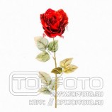 Красная роза на стебле с серебрянным глиттером,71см.арт.864-019